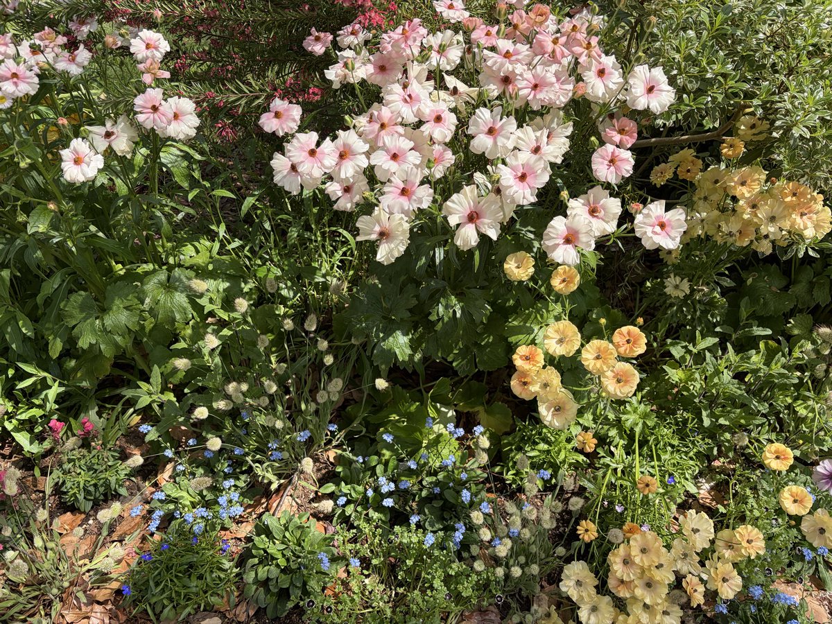 ラウンジのヌシ@美少女婚活戦士😘 tweet media