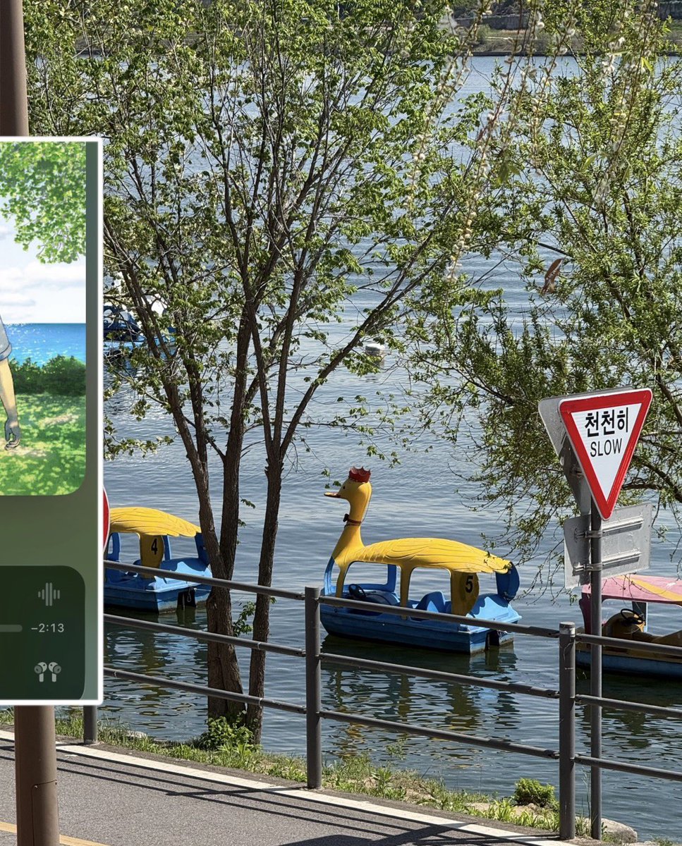 동표가 보여주는 사계절의 낭만이 너무 힐링이 됨🥹🥹