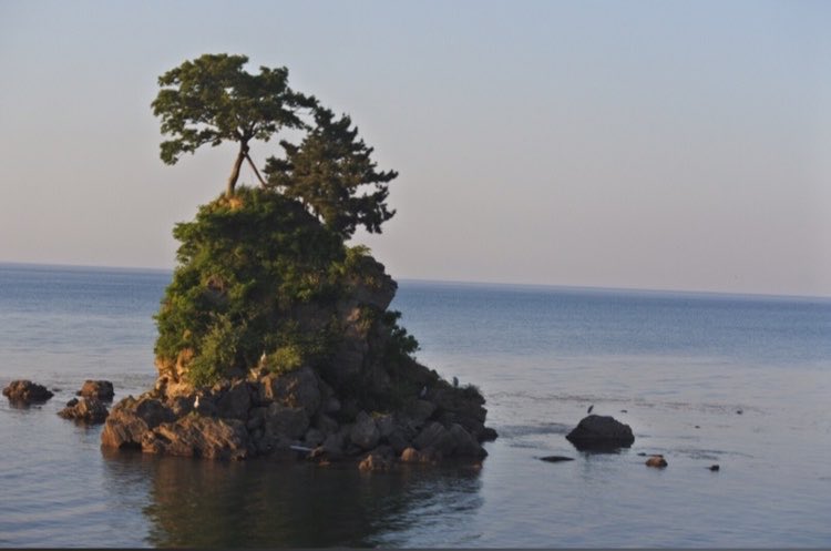 Y.YOSHIHIRO tweet media