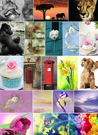 Time for our final COMPETITION!
To win a mixed pack of postcards (each card in a pack is different) please follow, repost and reply with ‘What a mix’ by 9am on 4 May. Good luck!
UK only T&amp;Cs apply