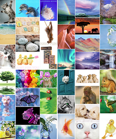 The Postcard Store tweet media