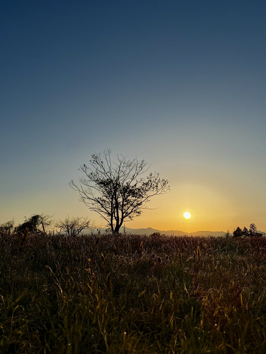 佐々木小次郎 tweet media