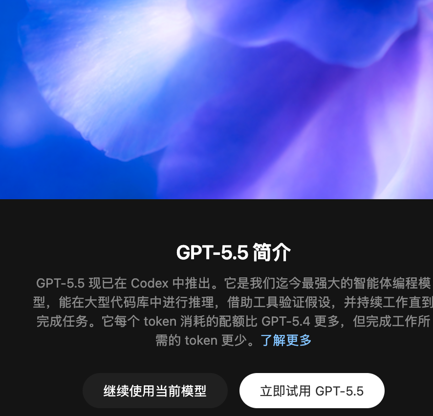 gpt 5.5

codex牛逼  感觉每天都会有更新