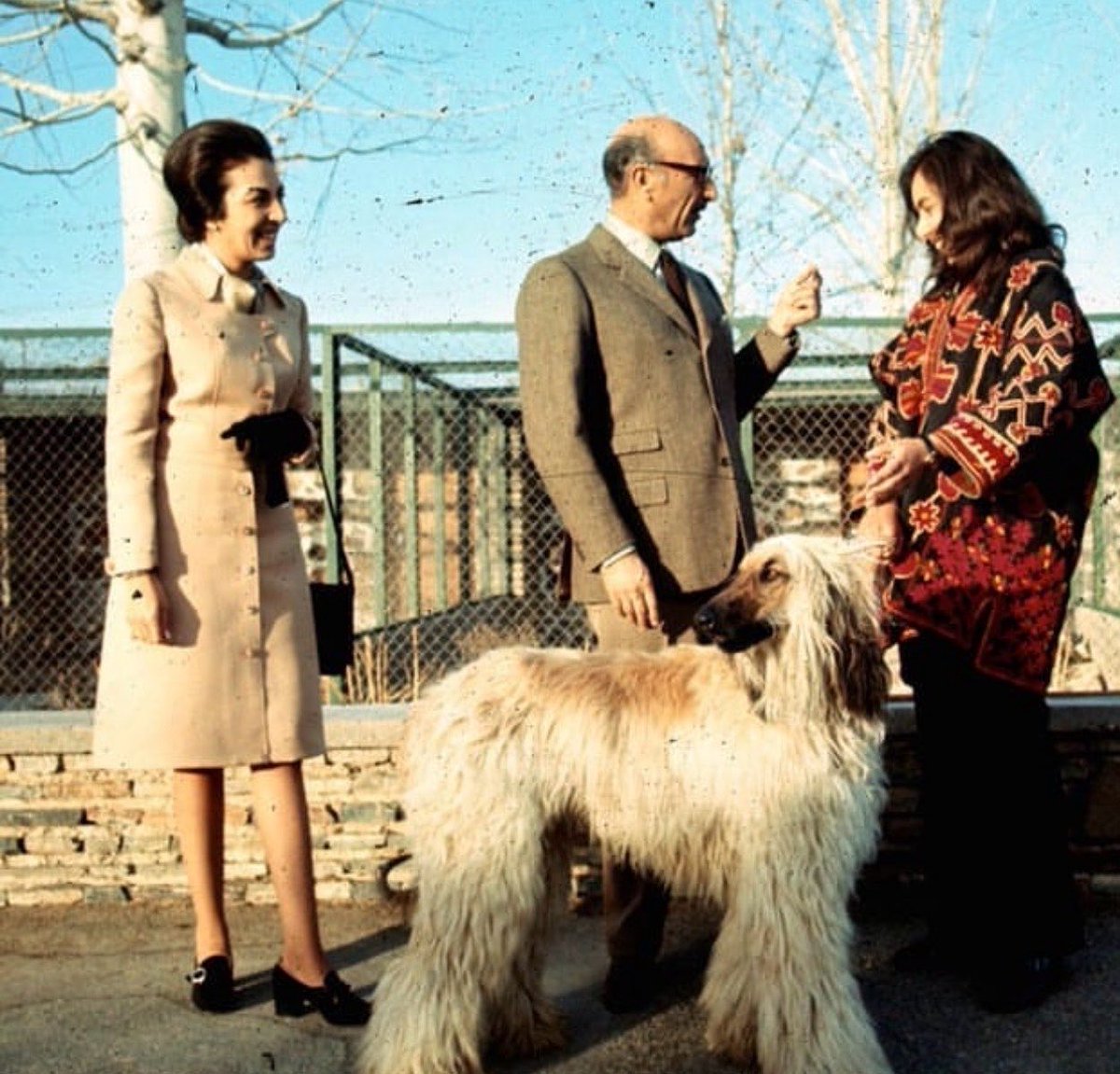 ahmad istalifi tweet media