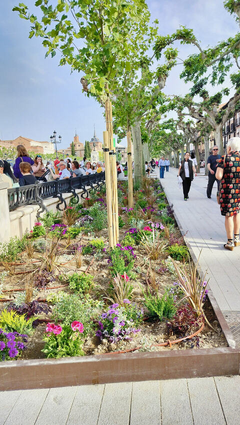 🧱Reforma del Centro. Ya han abierto la mayor parte de la Plaza de Cervantes:

📍Alcalá de Henares
📸Bolt
🗨️urbanity.one/t/alcala-de-he…