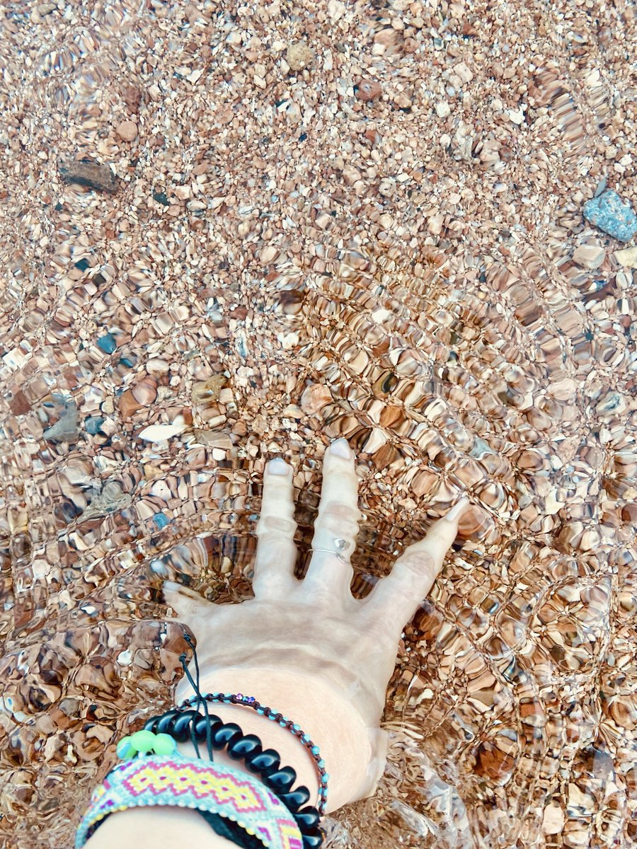 chupacabra tweet media