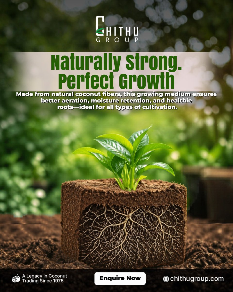 Chithu_Group's tweet photo. Grow naturally. Grow stronger.

Crafted from premium coconut fibers, our coir growing medium enhances aeration, retains moisture, and supports healthier root development perfect for every stage of cultivation.

#ChithuGroup #CoirProducts #CocoPeat #GrowingMedium https://t.co/VUiVvDkhcE