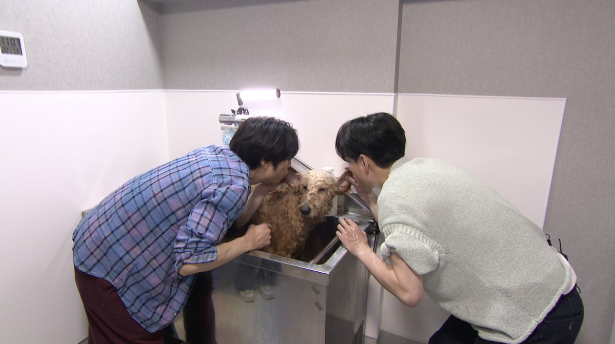 オリコンニュース tweet media