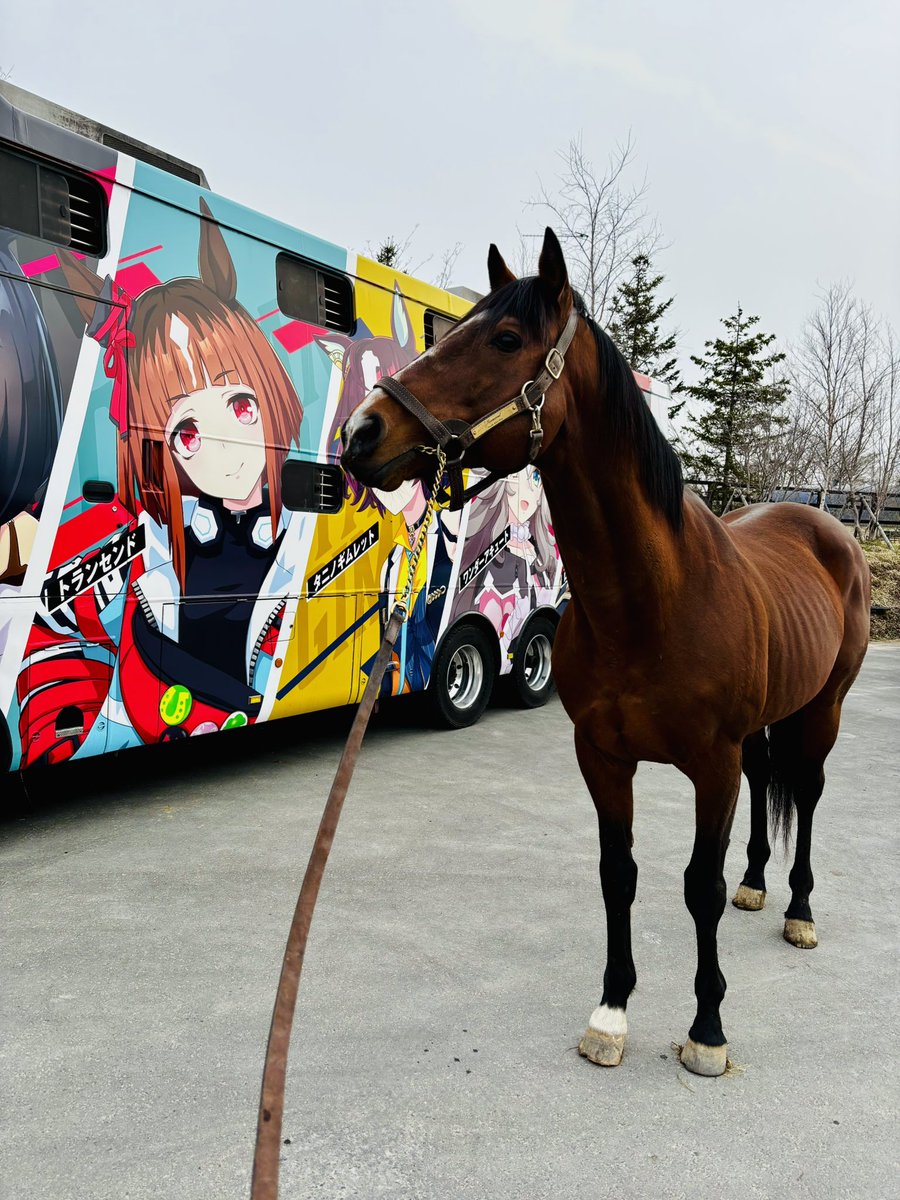 おーた部長👨‍🌾Yogibo ヴェルサイユリゾートファーム STAFF🌹 tweet media