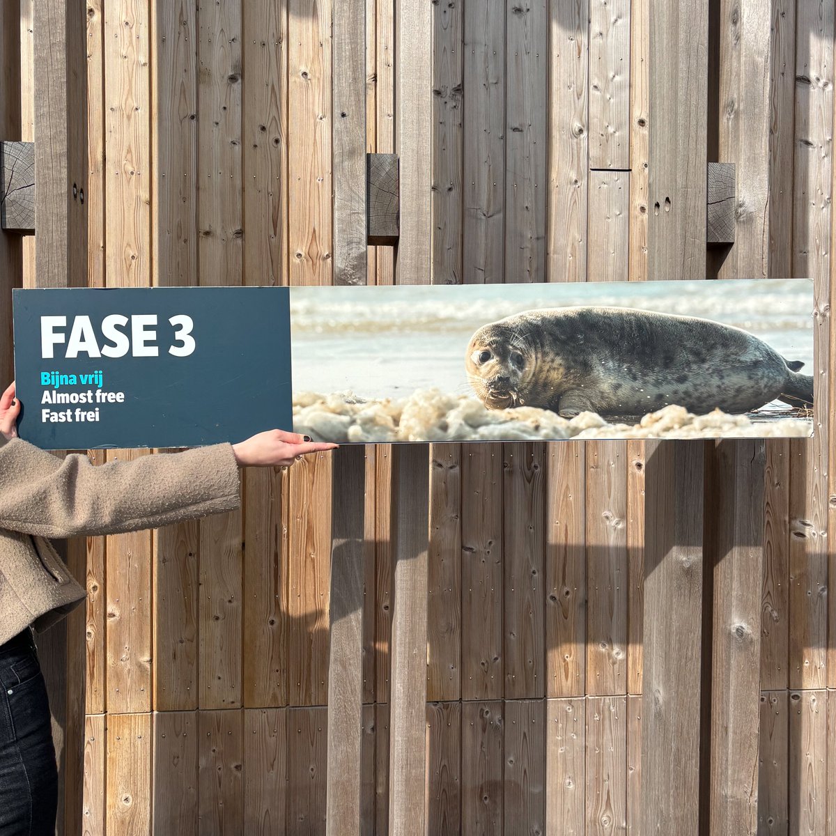 Zeehondencreche's tweet image. The new auction is here!🥳 You find unique items from Pieterburen. Think flags, banners and jumpers, as well as original signs from the former Seal Centre!✨ 

🗓️ The auction runs from April 26 to May 10

Take a look at the items: 
…ndencentrum-pieterburen.myshopify.com/collections/au… 

#auction #pieterburen