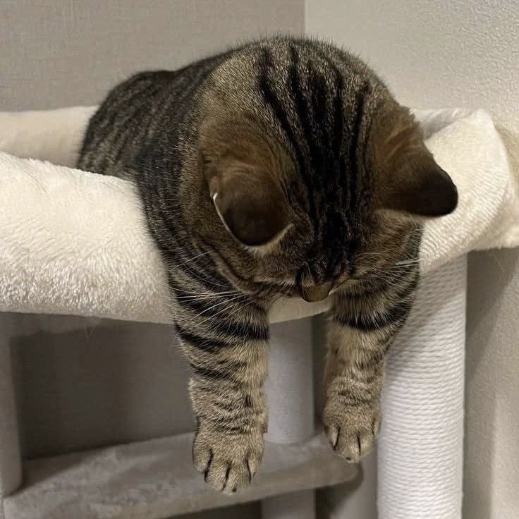 Valérie. tweet media