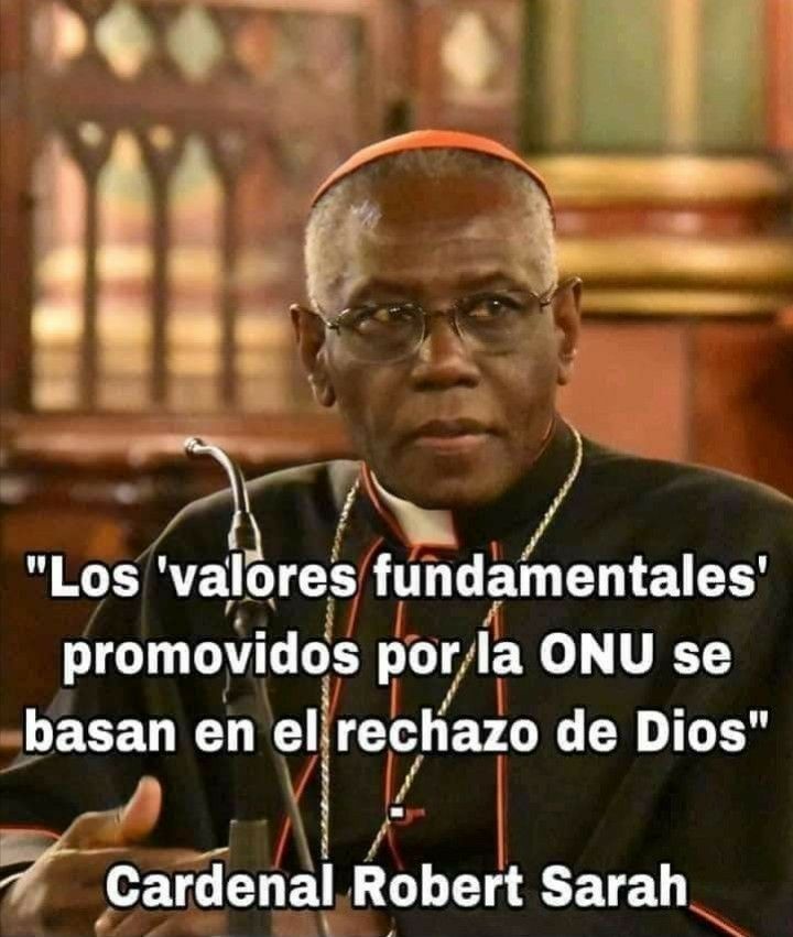 ONU debe ser desmantelada