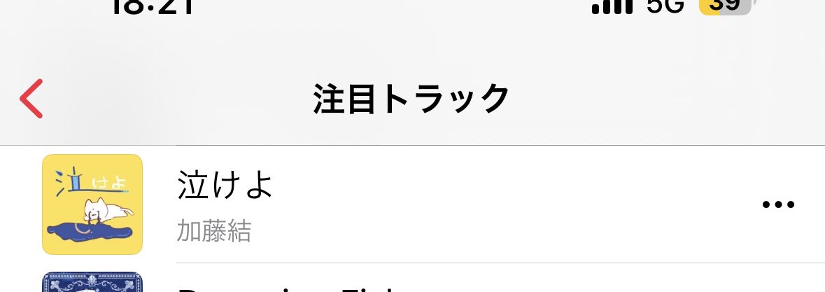 加藤結🥑5/15-5/16個展 tweet media