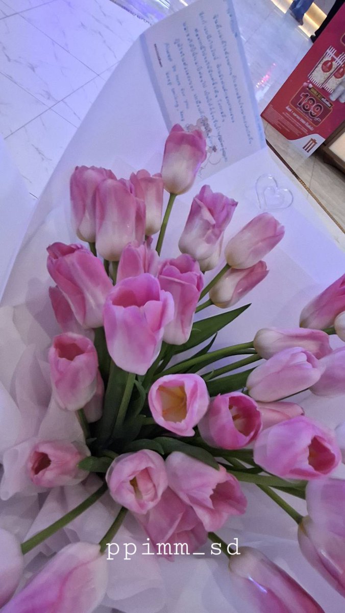 PPiMM_SD 🤍 tweet media