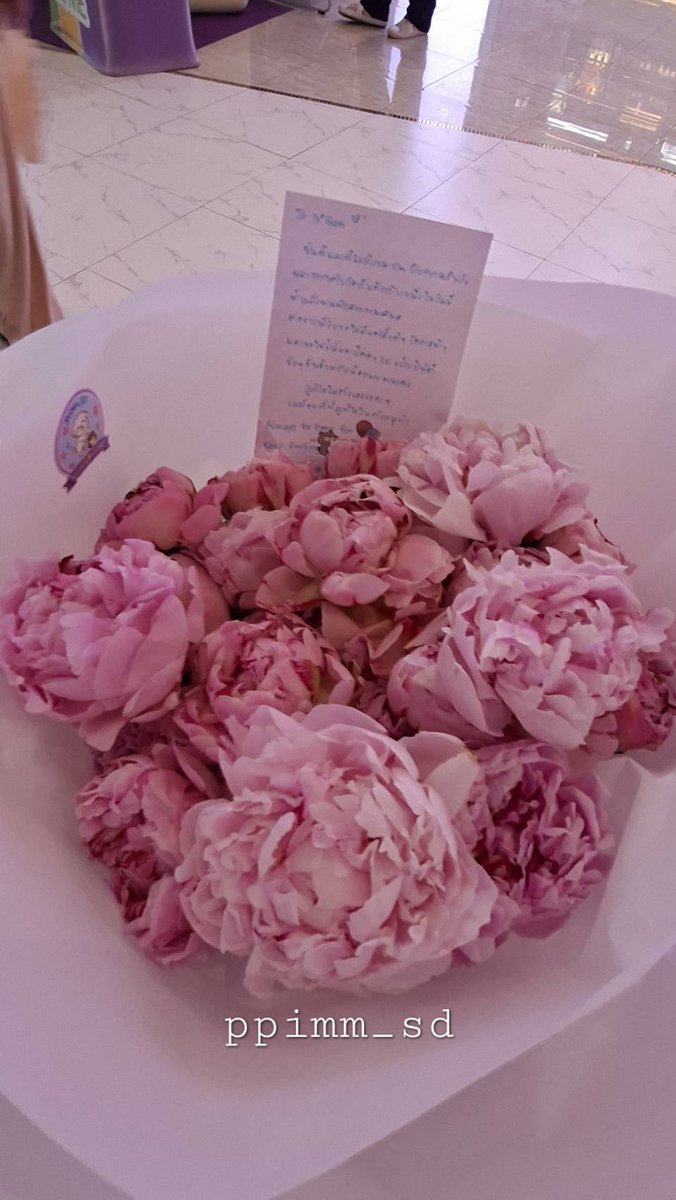 PPiMM_SD 🤍 tweet media