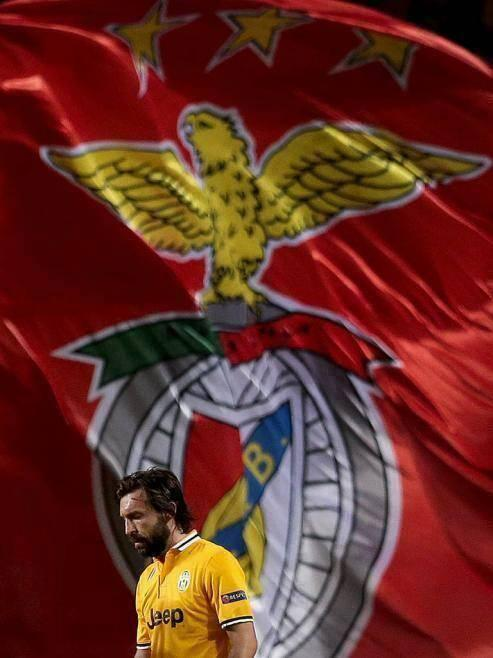 Benfica Daily tweet media