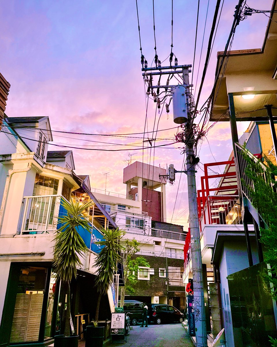 サイコノマチコ@実店舗コーポかにみそもヨロシク🦀 tweet media