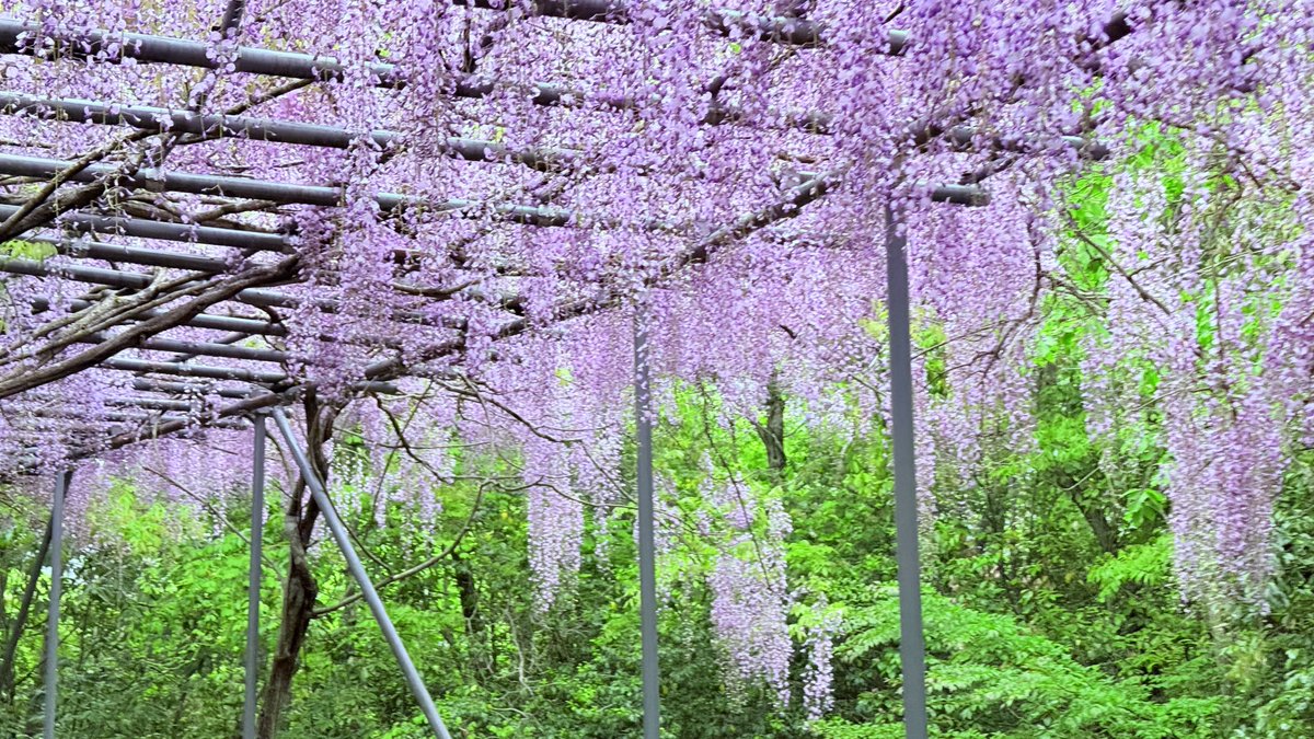 ★ TAKUTUBE ★ tweet media