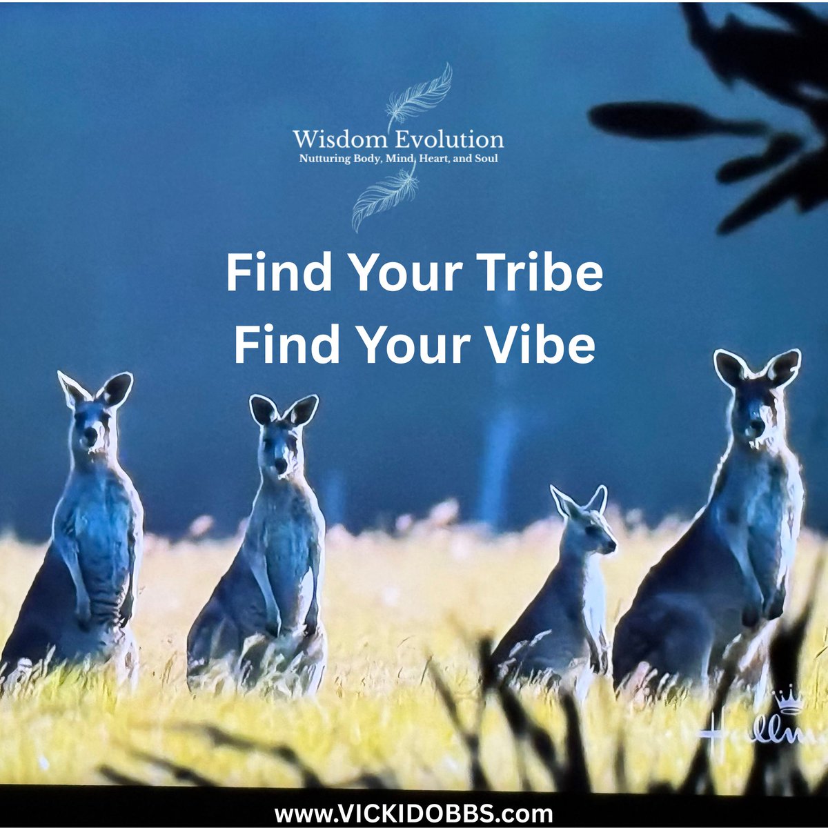 WisdomEvolution's tweet image. Dreams are delicate things born out of hope, and desire, and air. They are as vulnerable and as fragile as a butterfly’s wings...vickidobbs.com/dance-to-the-b…

#HopeAndConnection #WritersCommunity #FindYourTribe #CommunityMatters #SacredConnections #FridayFoodForThought #Wisdom #FFFT