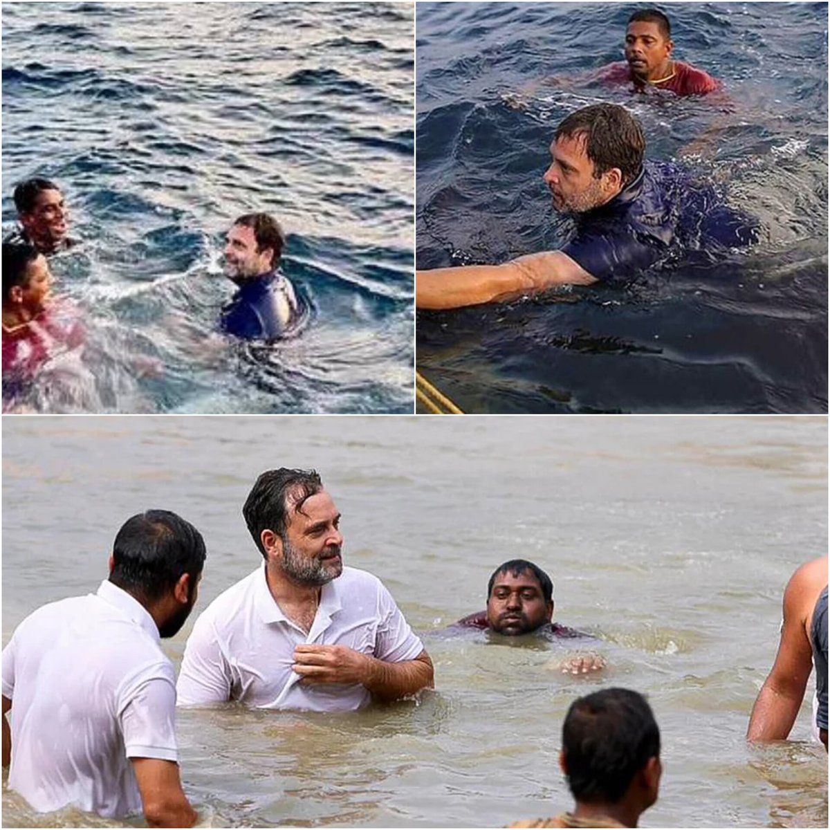 Saffron Chargers tweet media