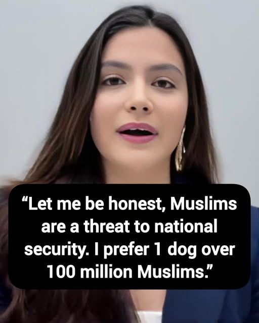 Make Europe Great Again - M.E.G.A tweet media