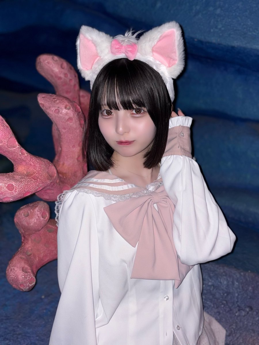 如月 れい tweet media