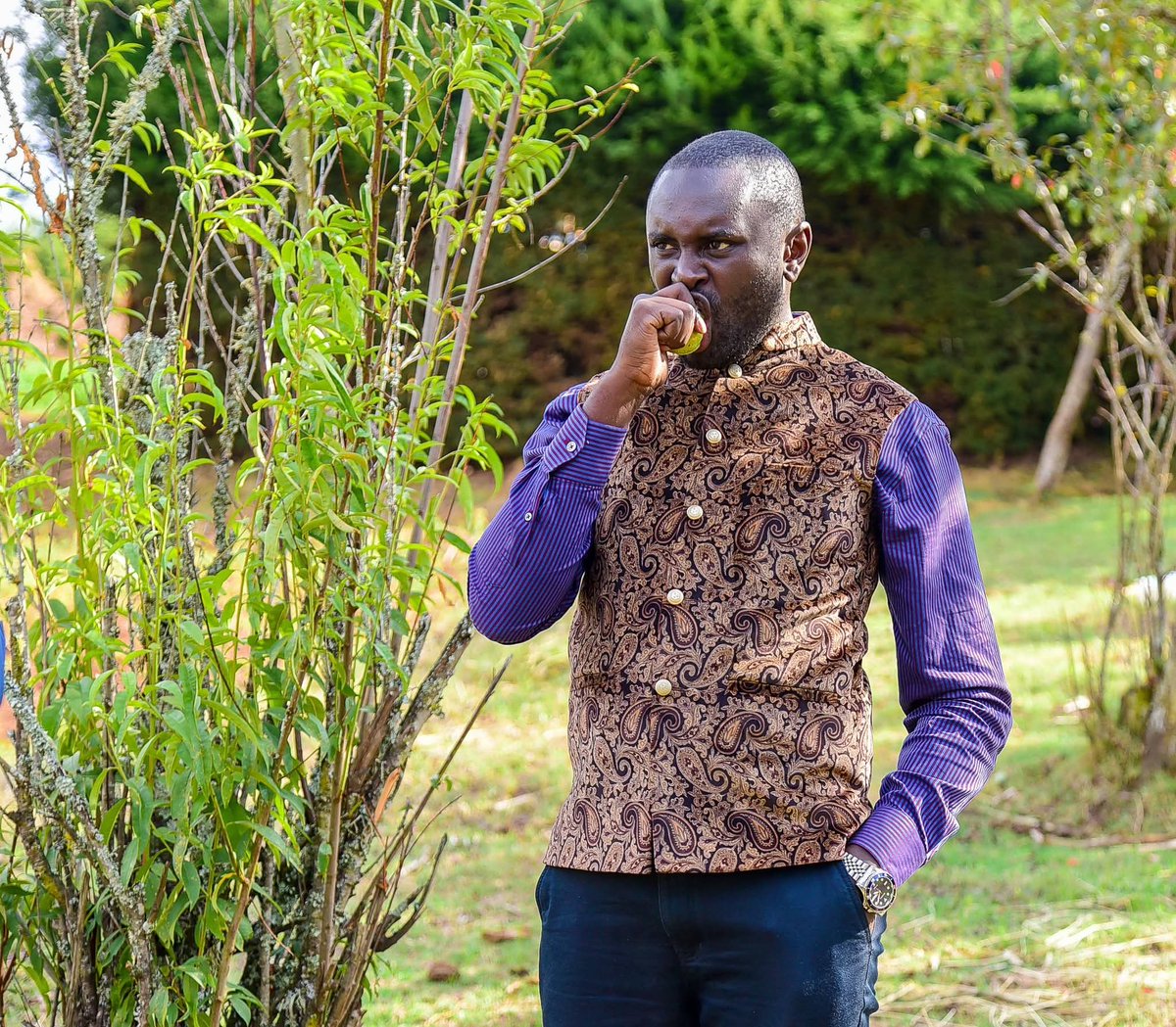 Sen. Methu Muhia tweet media