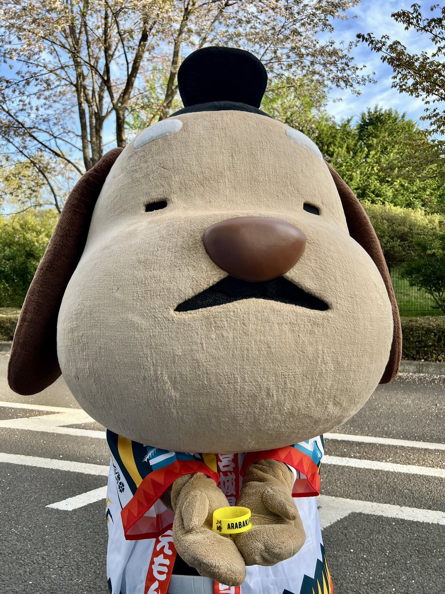 チョコえもん｜宮城県川崎町観光PRキャラクター tweet media