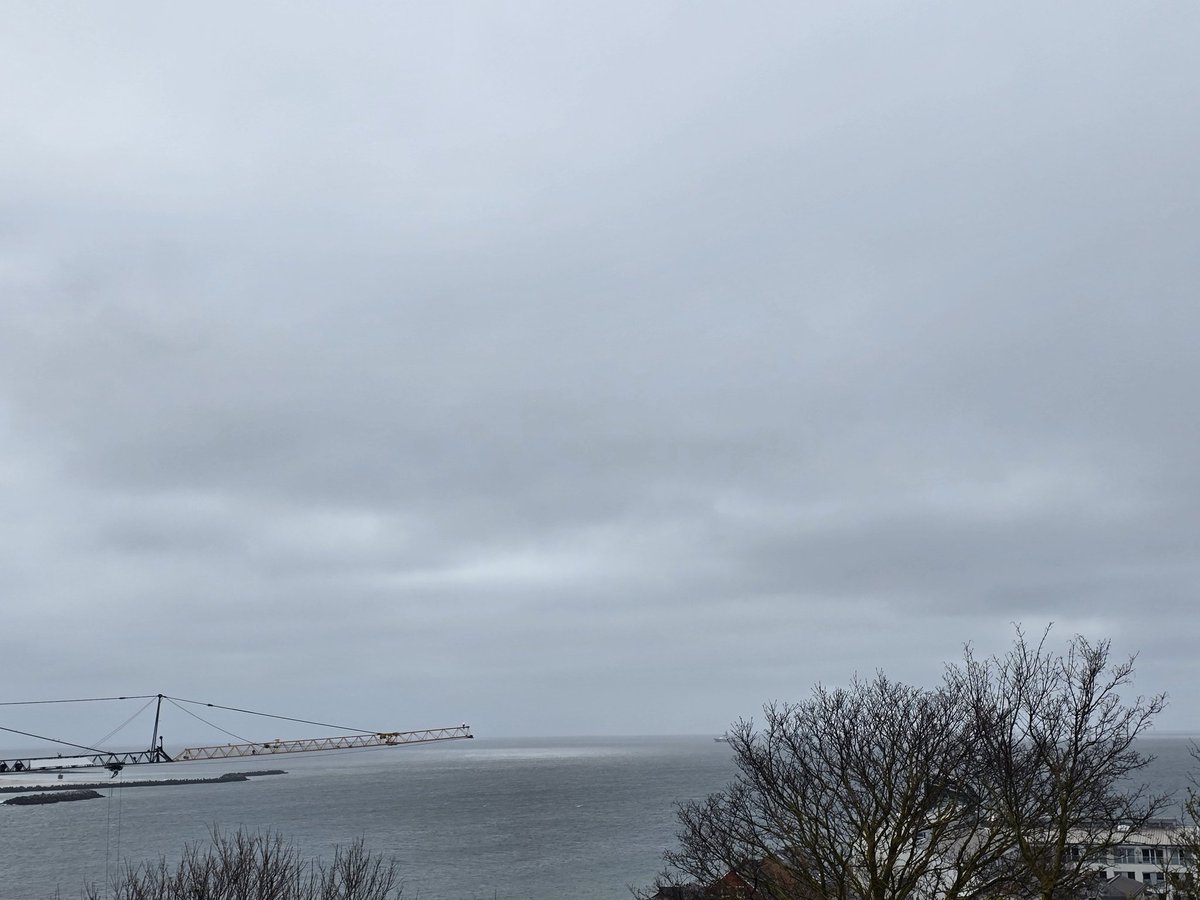 ixxim™ 🪝 tweet media