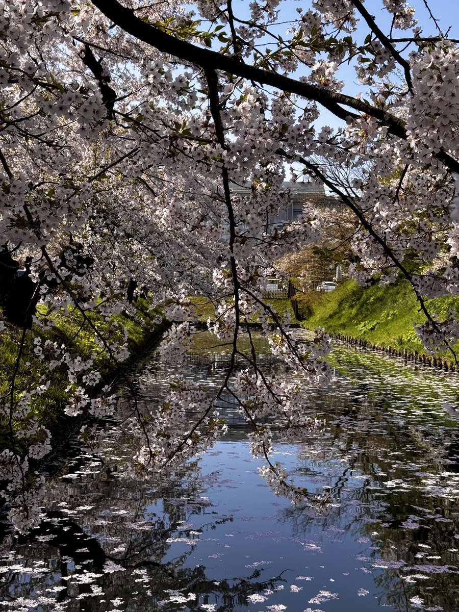 佐々木小次郎 tweet media