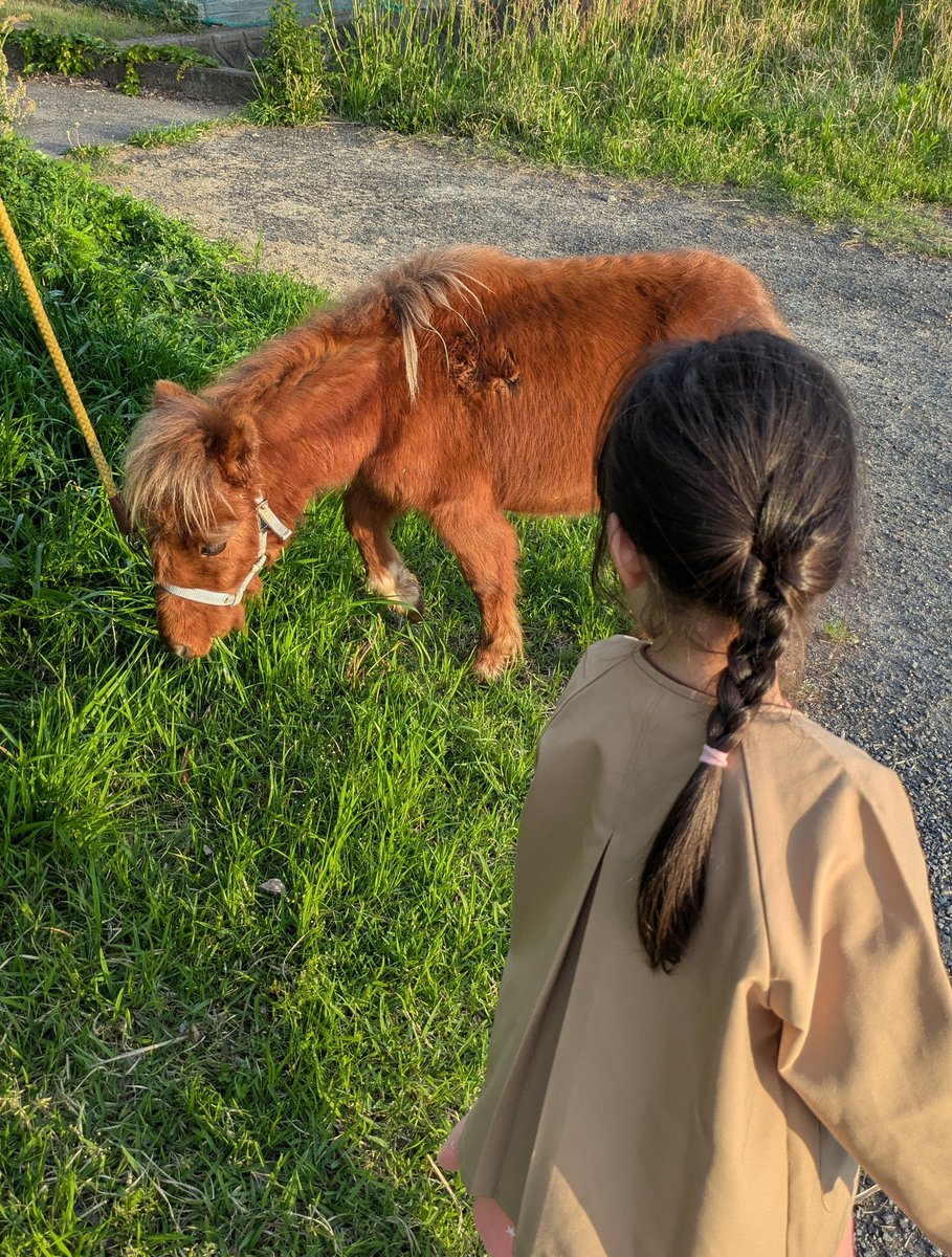 木原優(けい＠ホームジムニキ) tweet media