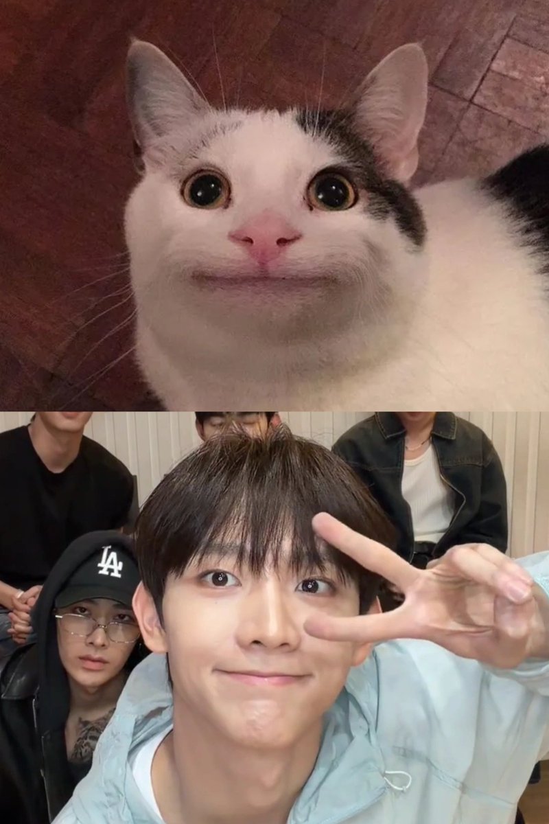 유승언 너 예의바른언냥이인거축하해