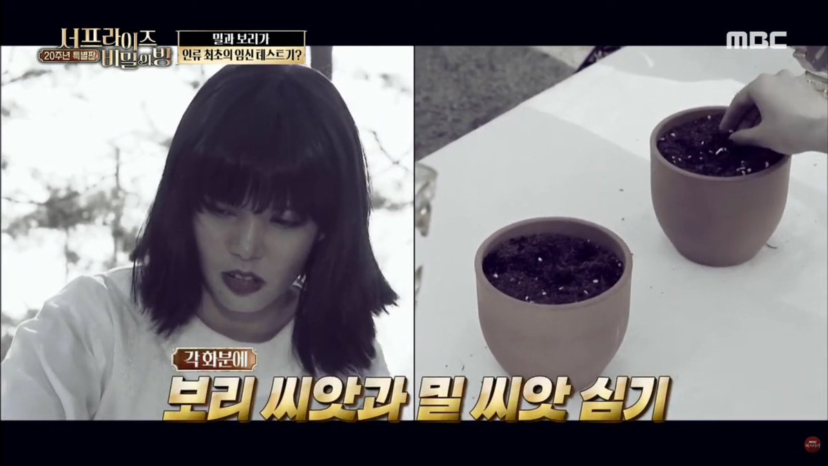 남에 갤러리 tweet media