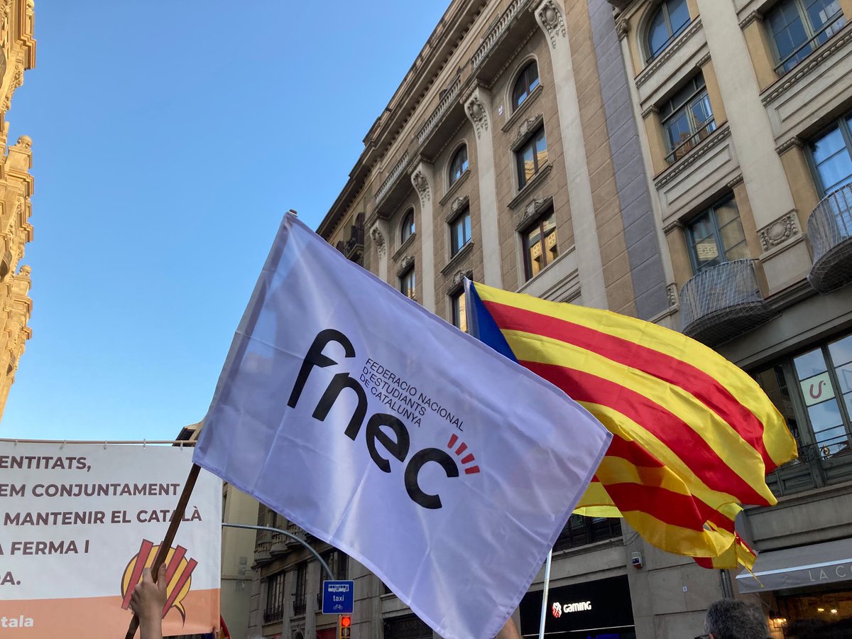 FNEC tweet media