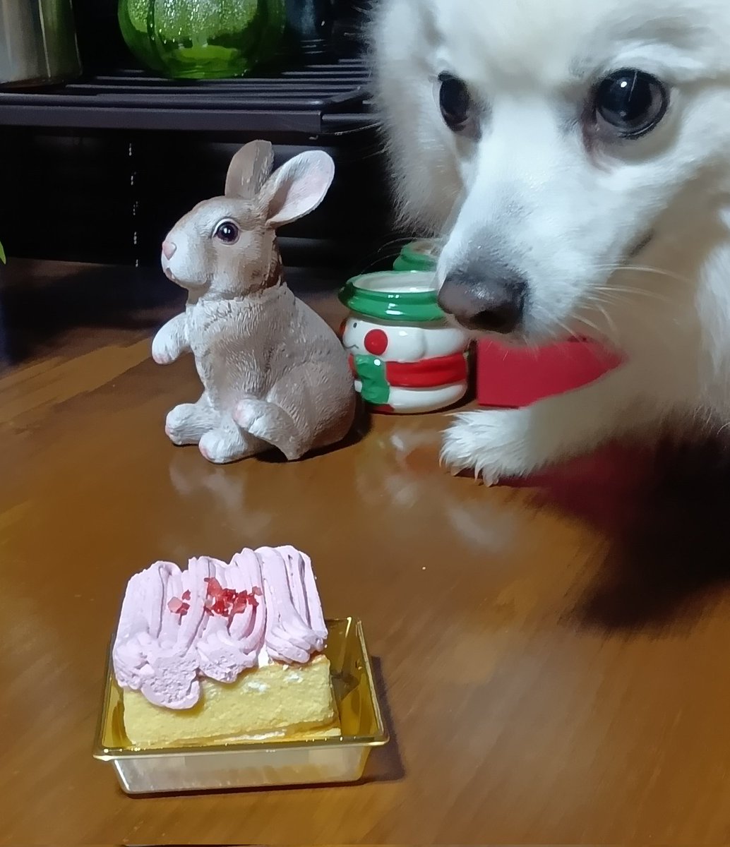 ©七瀬 tweet media