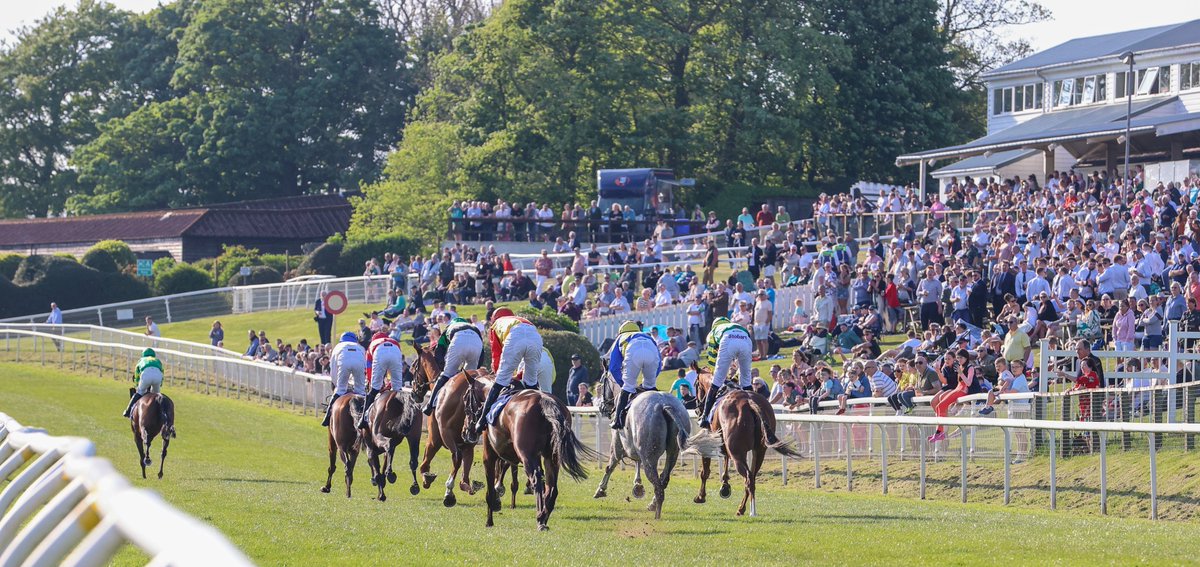 My Racing Tips tweet media