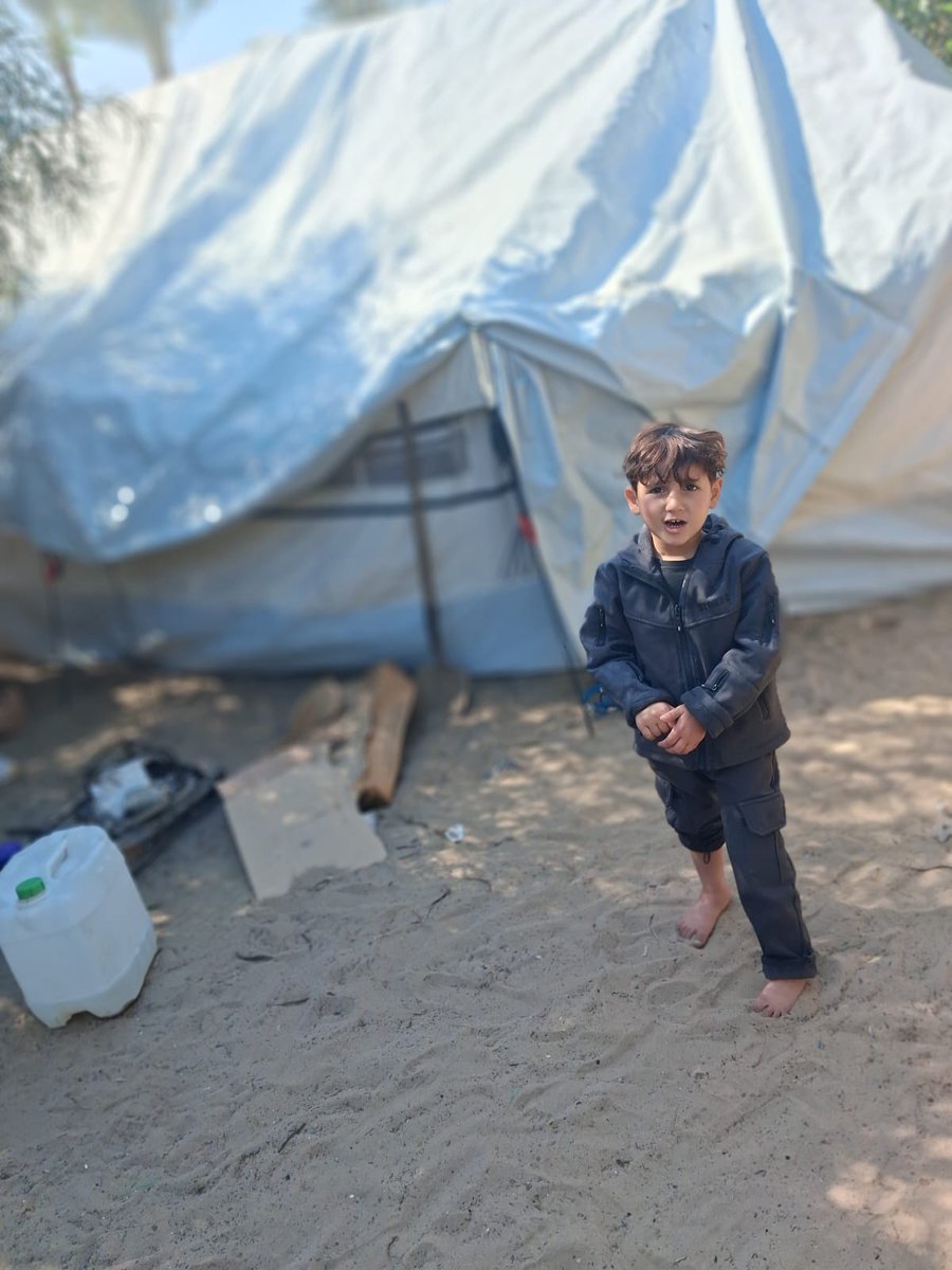 mohammed ashour tweet media