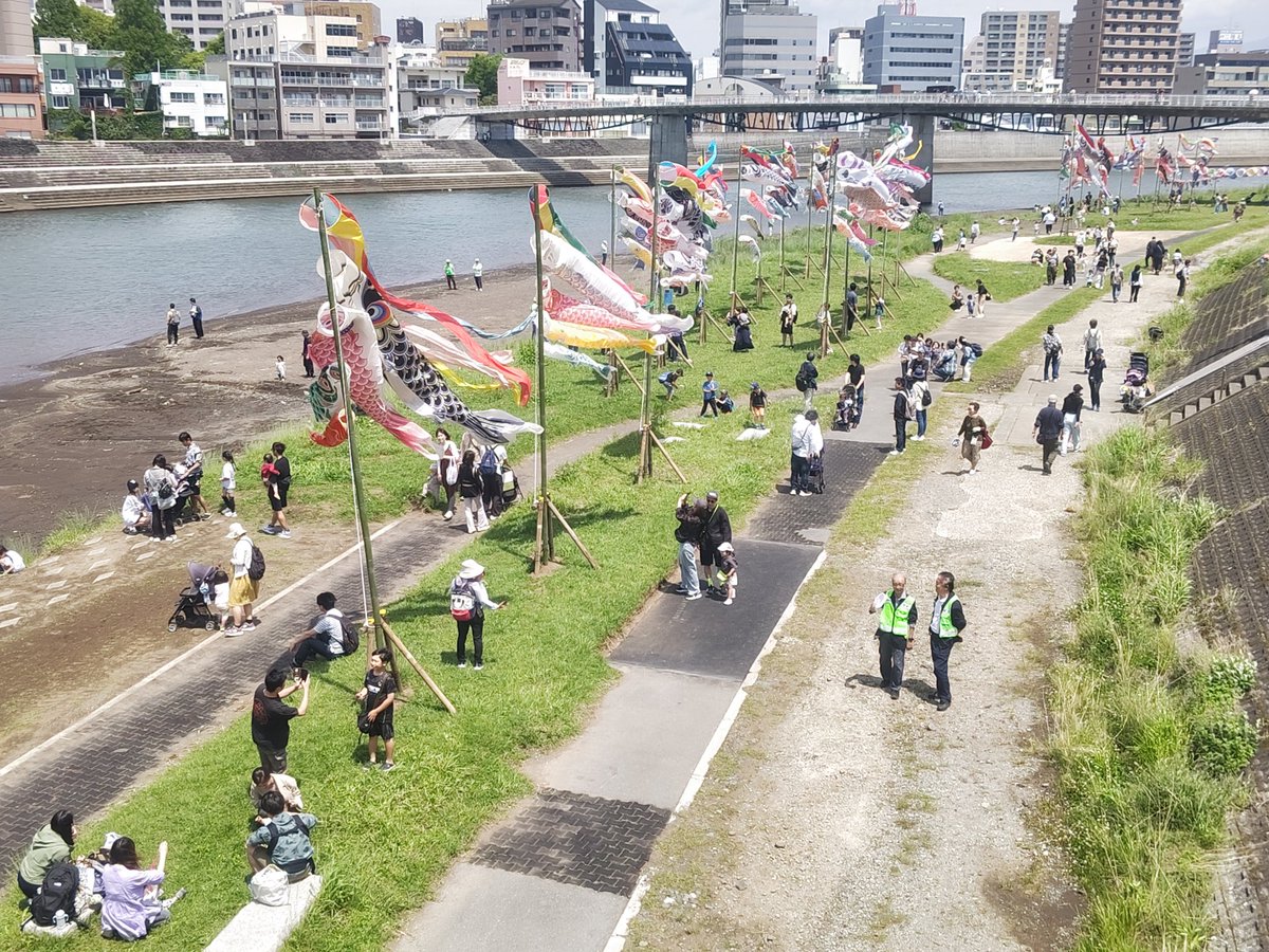沼津こいのぼりフェスティバル tweet media