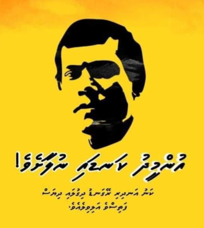 Island Life Journal 🌱🌴 tweet media