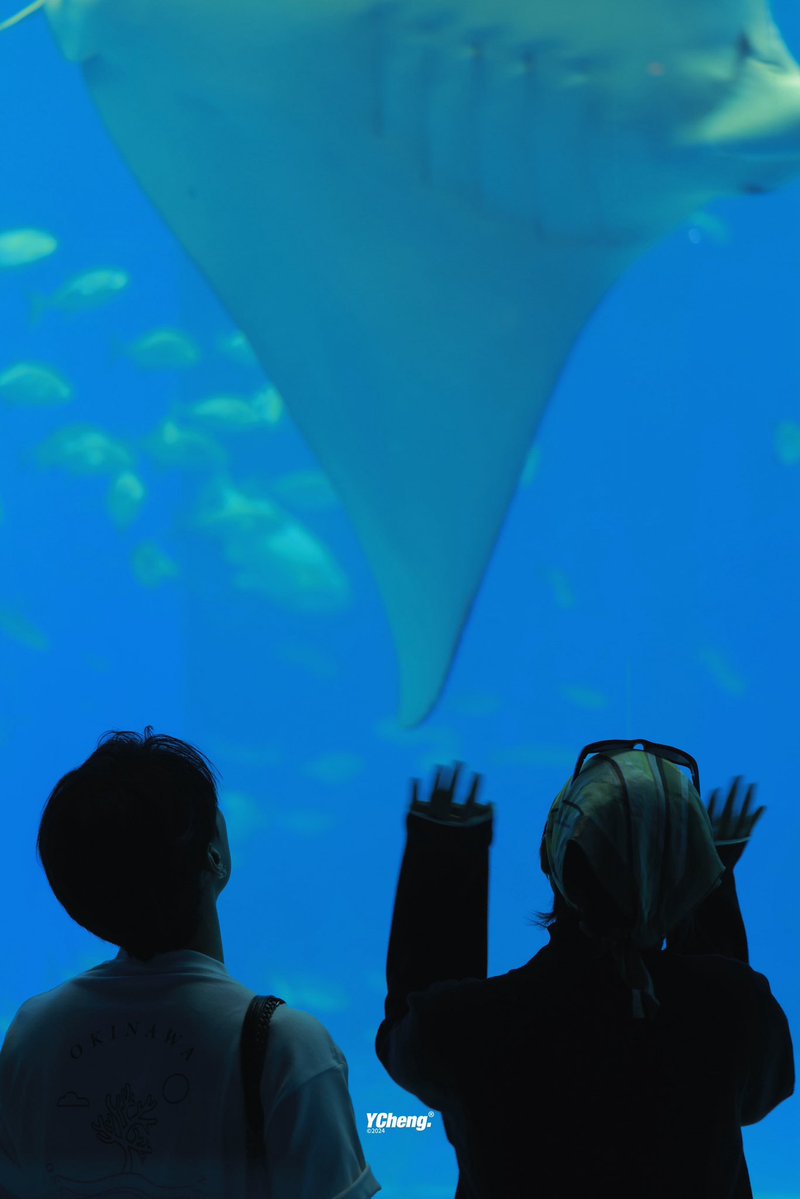 อวลิน tweet media