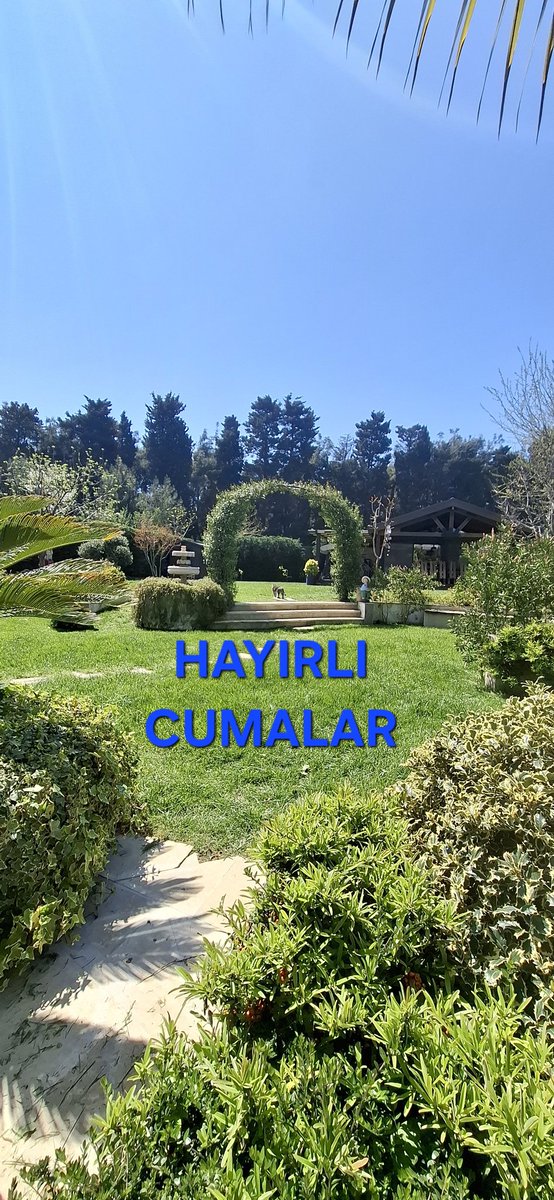 İstanbul34 tweet media