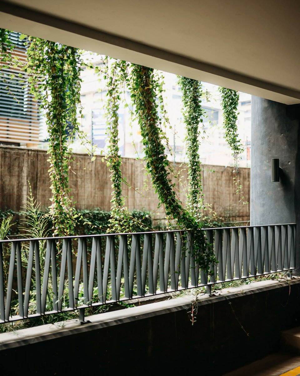 uglkenya's tweet image. At Urban Green Landscapes, we design spaces that feel right functional, sustainable, and built for people.
🌿 urbangreen.co.ke

Check out our work and see the difference.
#UrbanGreenKE #DesignMatters #GreenSpaces #BuiltEnvironment #KenyaBusiness