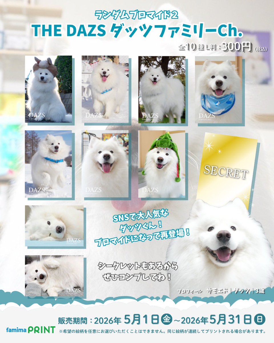 ダッツファミリーCh. (@samoyed_dazs) / Posts / X