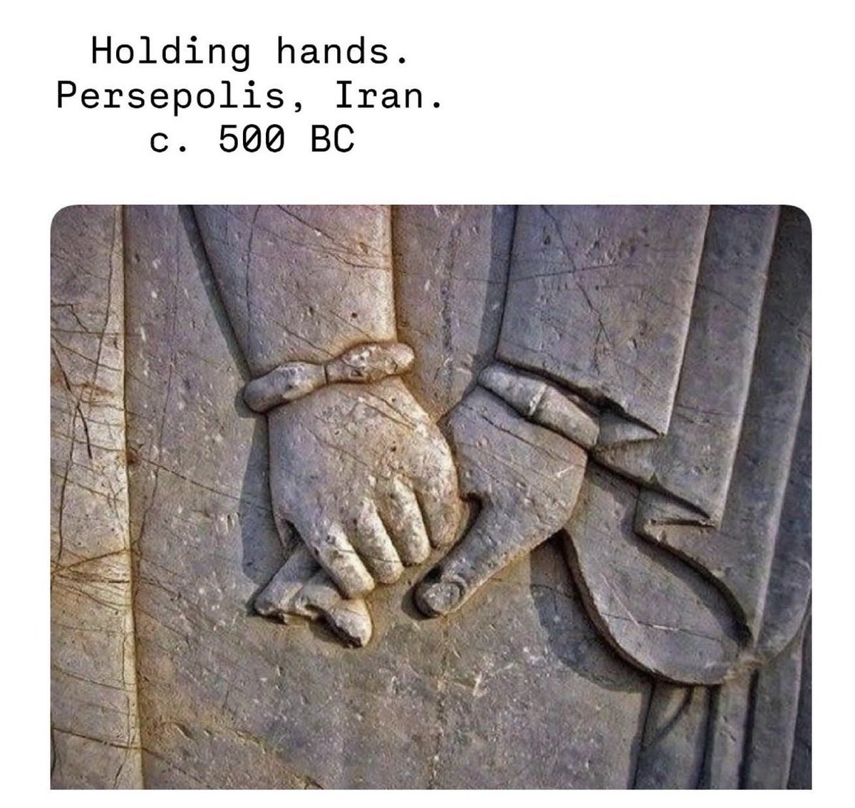 farnoosh faraji |فرنوش فرجی tweet media