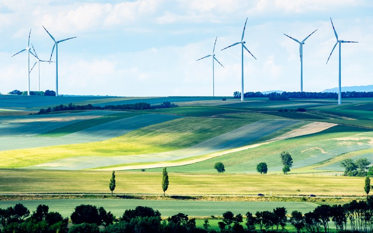 legalnewsfrance's tweet image. ICPE : le silence du préfet sur un porté à connaissance vaut rejet implicite
#PortéàConnaissance #Silence #Préfet #RejetImplicite #ICPE
legalnews.fr/public/environ…