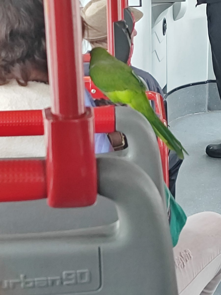 ❥┊ Akeideu ₊˚. tweet media