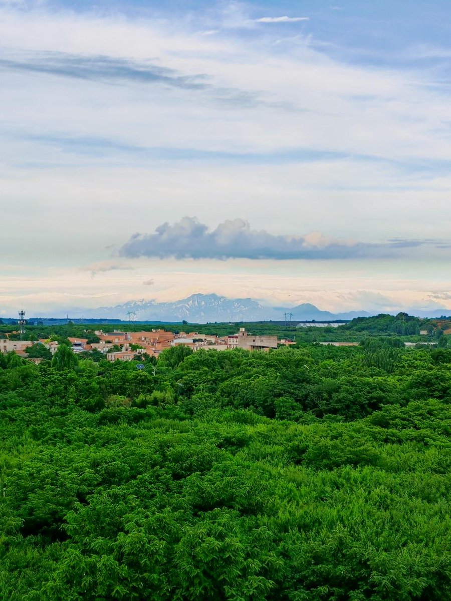 JackieShannon2's tweet image. Woke up to this view  Camped under the stars, sipped hot cocoa by the fire, and hiked trails that felt like nature’s hug. No Wi-Fi, no stress—just pure joy. Who’s joining next #CampingVibes #NatureLovers