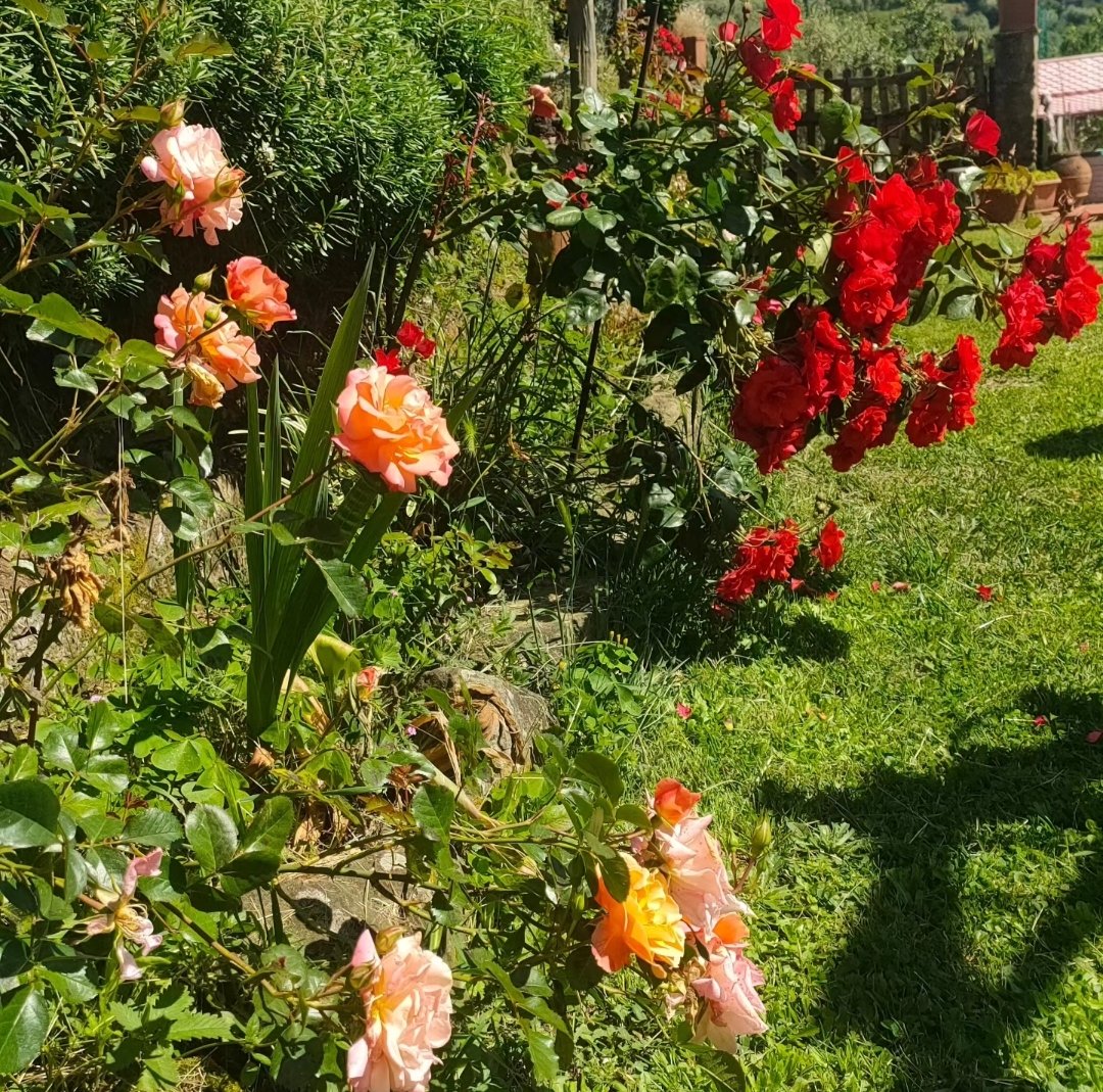 La campagna/collina
I silenzi
Le mie bambine