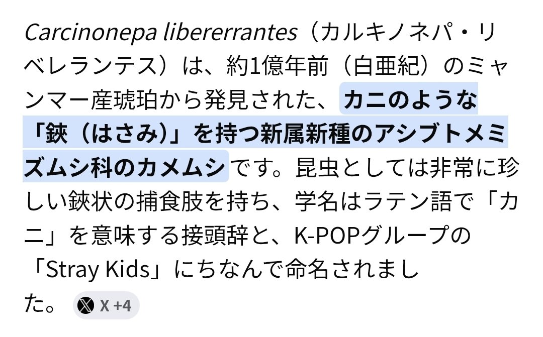 さえ 𓂂σ̴̶̷̤ . σ̴̶̷̤𓂂 tweet media