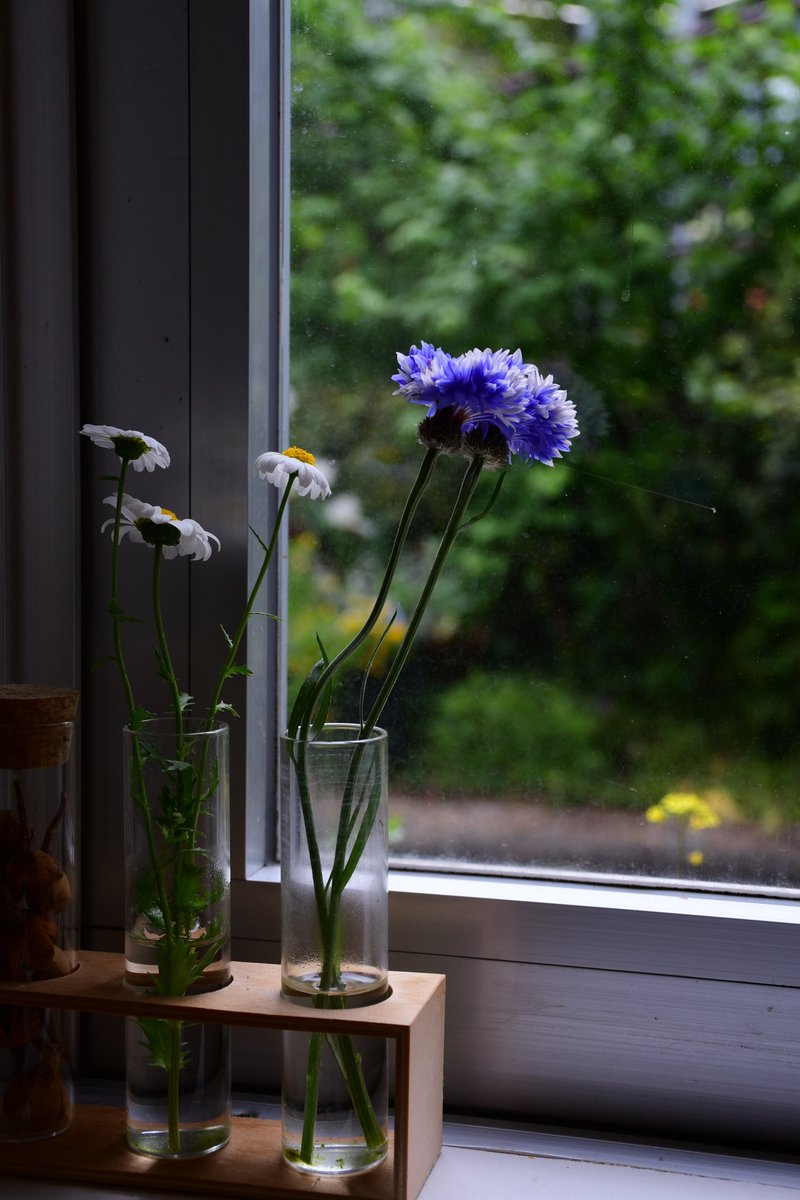 ysgr（ヨスガラ） tweet media